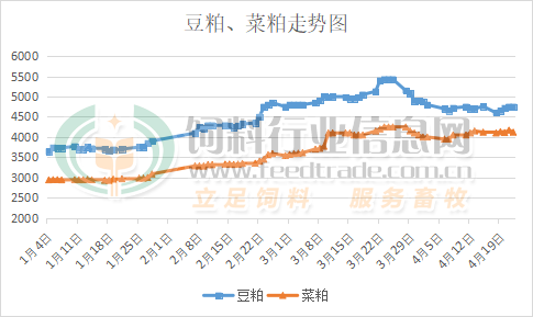 棉粕價格行情深度解析及趨勢預測