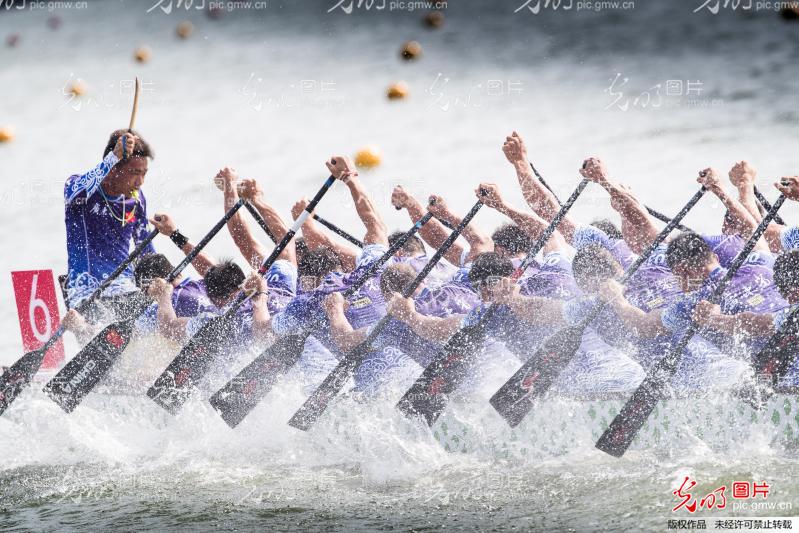 湖南龍船比賽視頻觀看與體驗指南，精彩瞬間一網打盡！