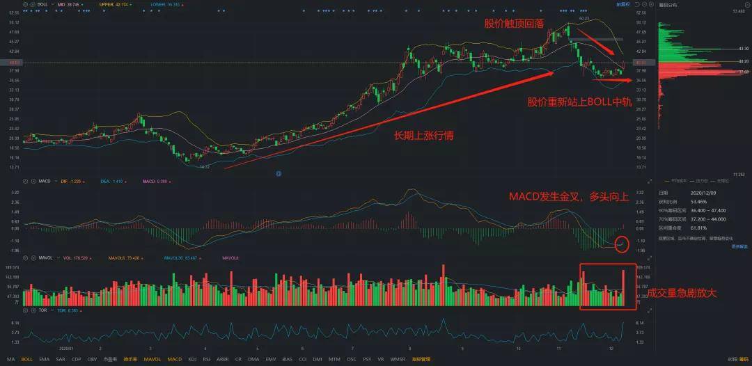 歌爾股票，小巷深處的隱藏寶藏揭秘，特色小店的股市奇妙之旅