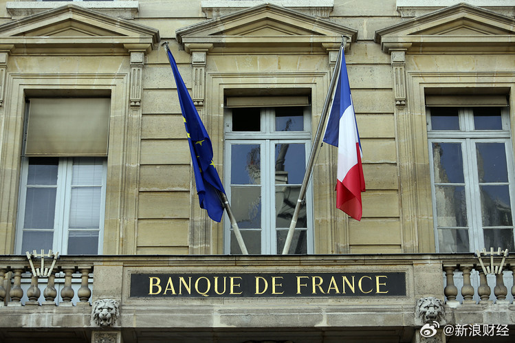 法國形勢最新動態(tài)，變化中的機遇與自信成就之源