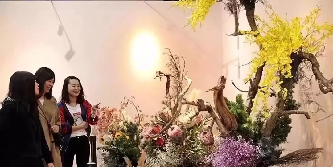 納蘭靜語最新現(xiàn)代作品——智能生活新紀元，科技重塑未來體驗的魅力