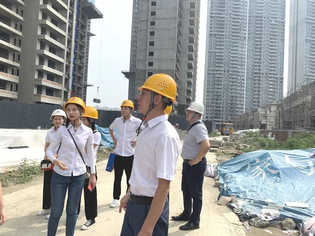 成都洺悅府最新動(dòng)態(tài)揭秘，科技府邸，未來生活搶先體驗(yàn)