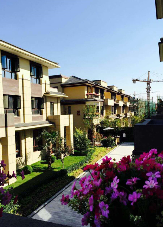 寶格麗小鎮(zhèn)最新資訊，學(xué)習(xí)變化，自信閃耀，共創(chuàng)美好未來(lái)成就