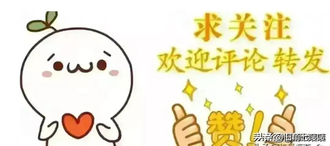 "2024全年資料免費大全功能"的:執(zhí)行機制評估_用心版4.76