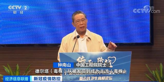 海航系最新動態(tài)深度解析與觀點(diǎn)論述