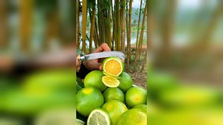 平湖最新資訊，城市脈動與成長見證