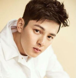 方齊苗最新個人資料揭秘，個人信息獲取與整理步驟指南