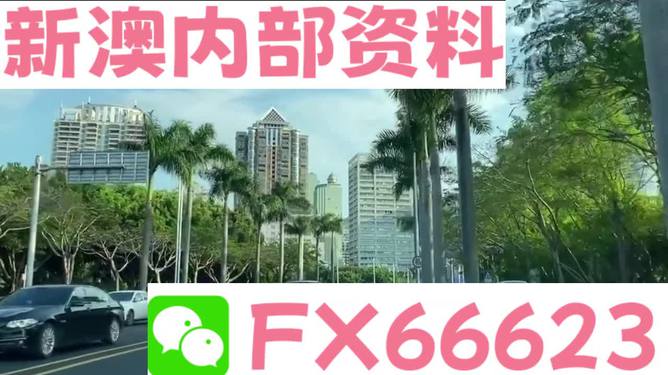＂新澳精準(zhǔn)資料免費提供網(wǎng)站有哪些＂的：決策支持方案_車載版8.8