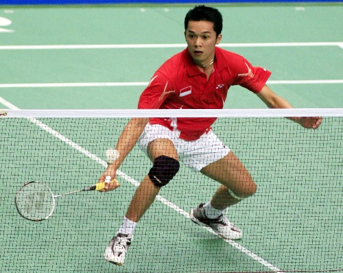 陶菲克羽毛球比賽視頻，觀看與學(xué)習(xí)指南