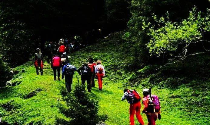 最新后峽動(dòng)態(tài),最新后峽動(dòng)態(tài)，發(fā)展與變化的深度探索