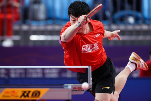 中國(guó)乒乓球明星的奮斗與榮耀，見(jiàn)證自信成就的力量之路