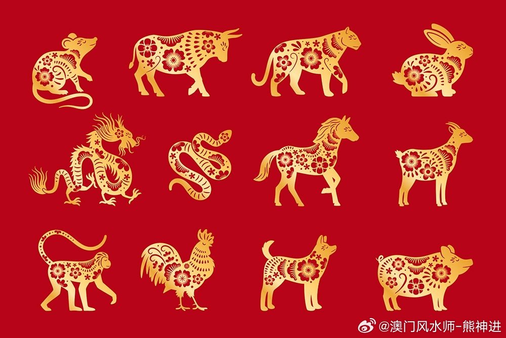 ＂2024年新澳門(mén)生肖走勢(shì)圖＂的：食品科學(xué)與工程_高效版4.25