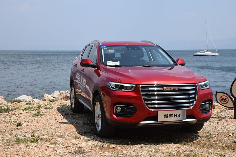 哈佛最新，自然美景治愈之旅探索