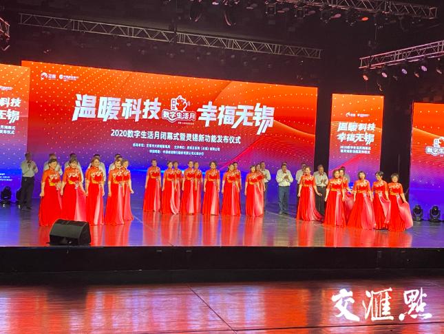 時(shí)代背景下的軟件崛起之旅，最新靈錫下載