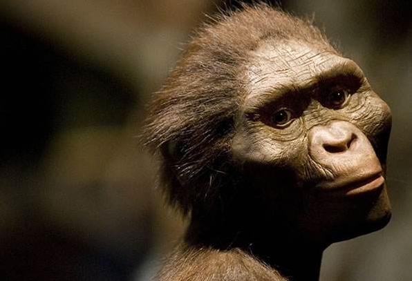 最新人類研究動態(tài)的深度解析與觀點闡述