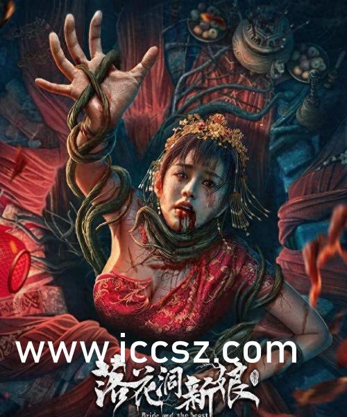 Seso最新資訊詳解，獲取與理解步驟指南