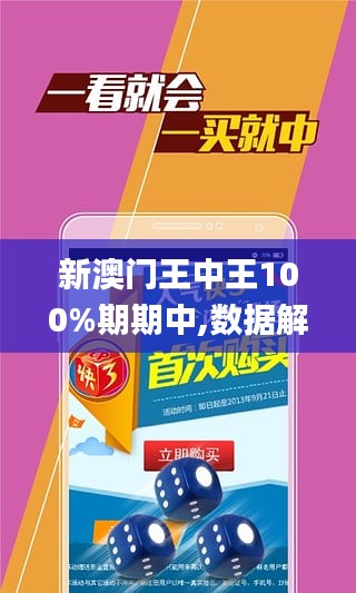澳門王中王100%正確答案最新章節(jié),效率評(píng)估方案_智巧版73.466