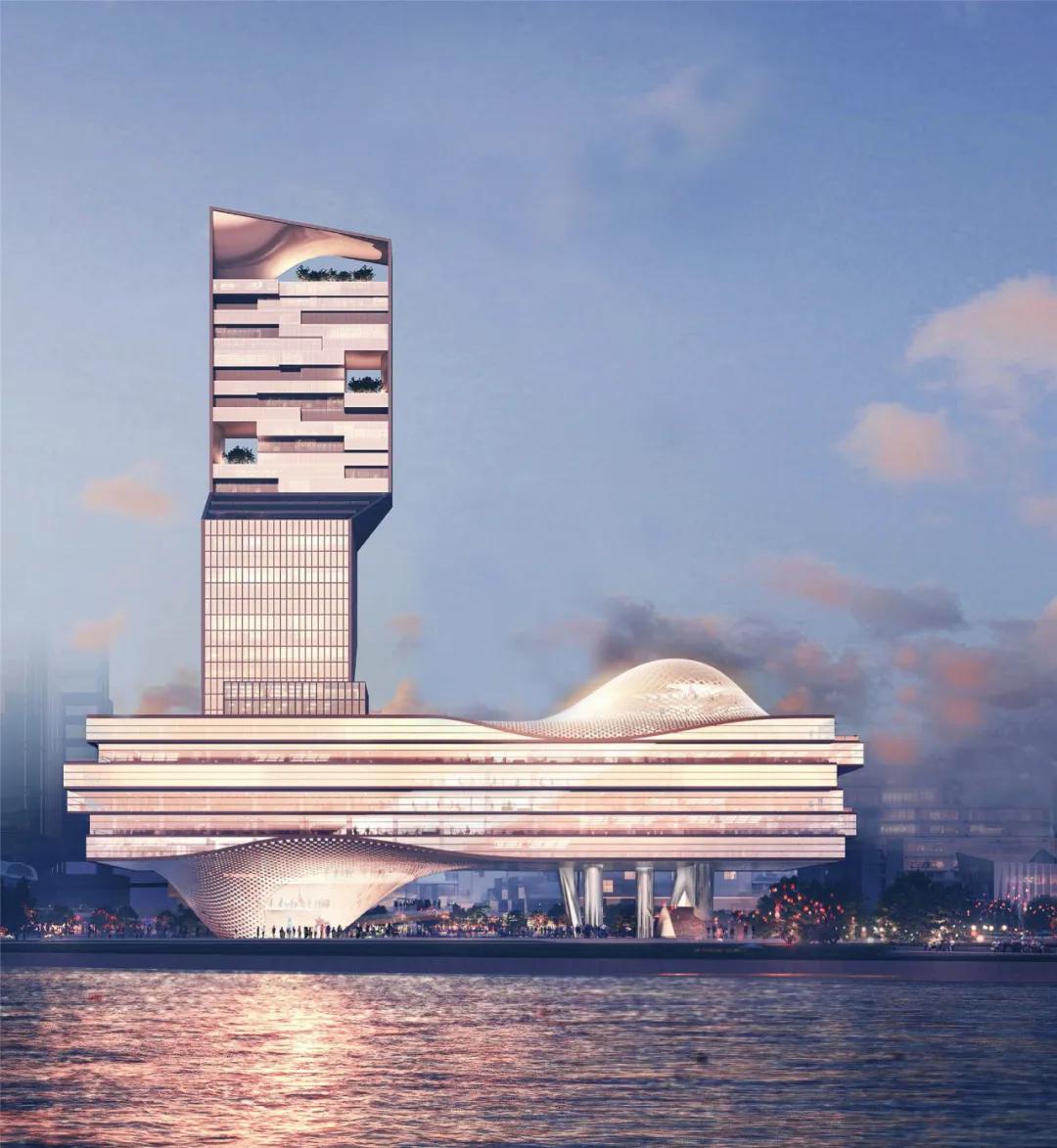 中興通訊股票解析，夢想與友情的交織故事