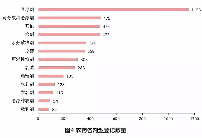 三七未來行情，自然美景中的旅行探索之旅
