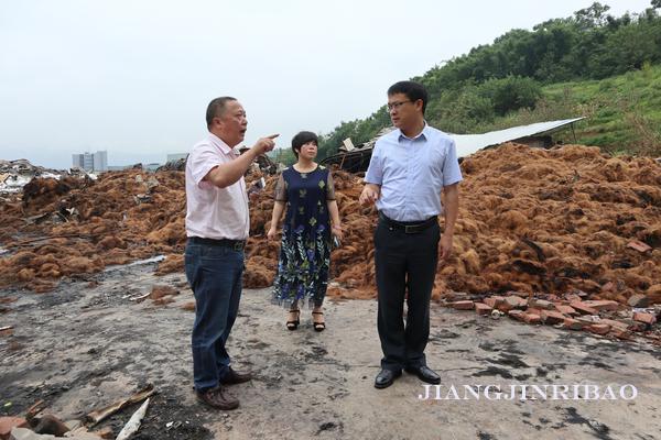 珞璜工業(yè)園規(guī)劃更新啟動，重塑產業(yè)生態(tài)藍圖