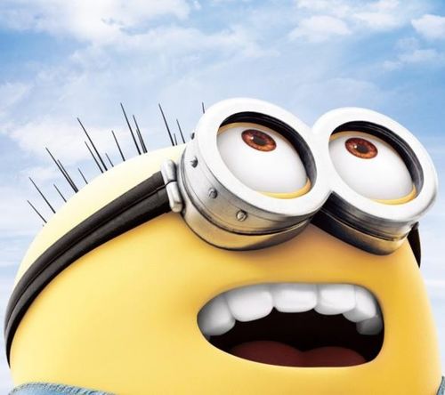 湖南下司犬最新上市，市場現(xiàn)象及各方觀點深度解析