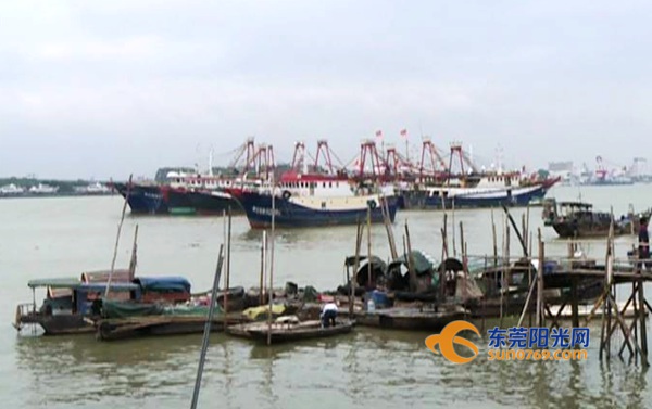 最新漁船更新補貼政策及步驟指南解讀