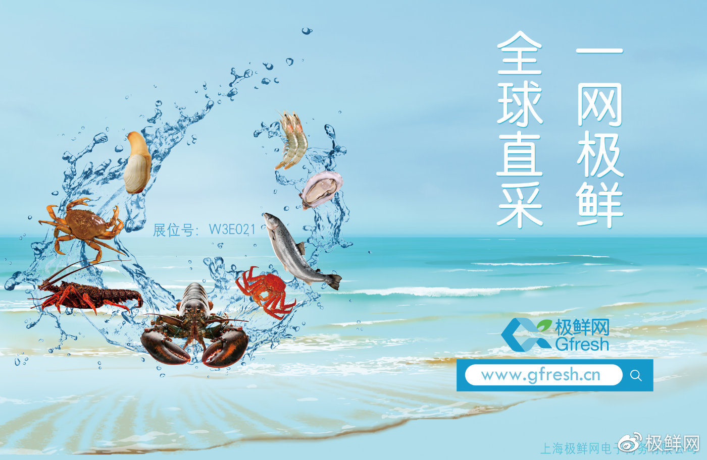 鮮網(wǎng)最新觀點(diǎn)闡述與深度解析