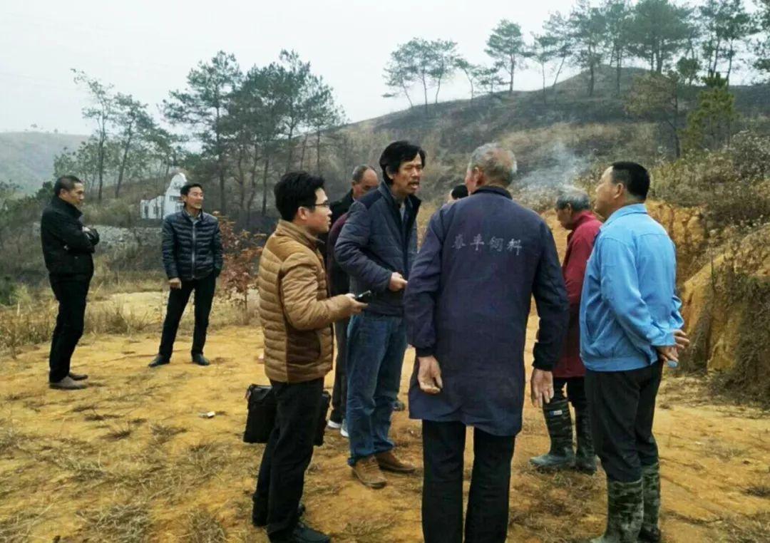 金牌調(diào)解精選，心靈與自然的完美邂逅