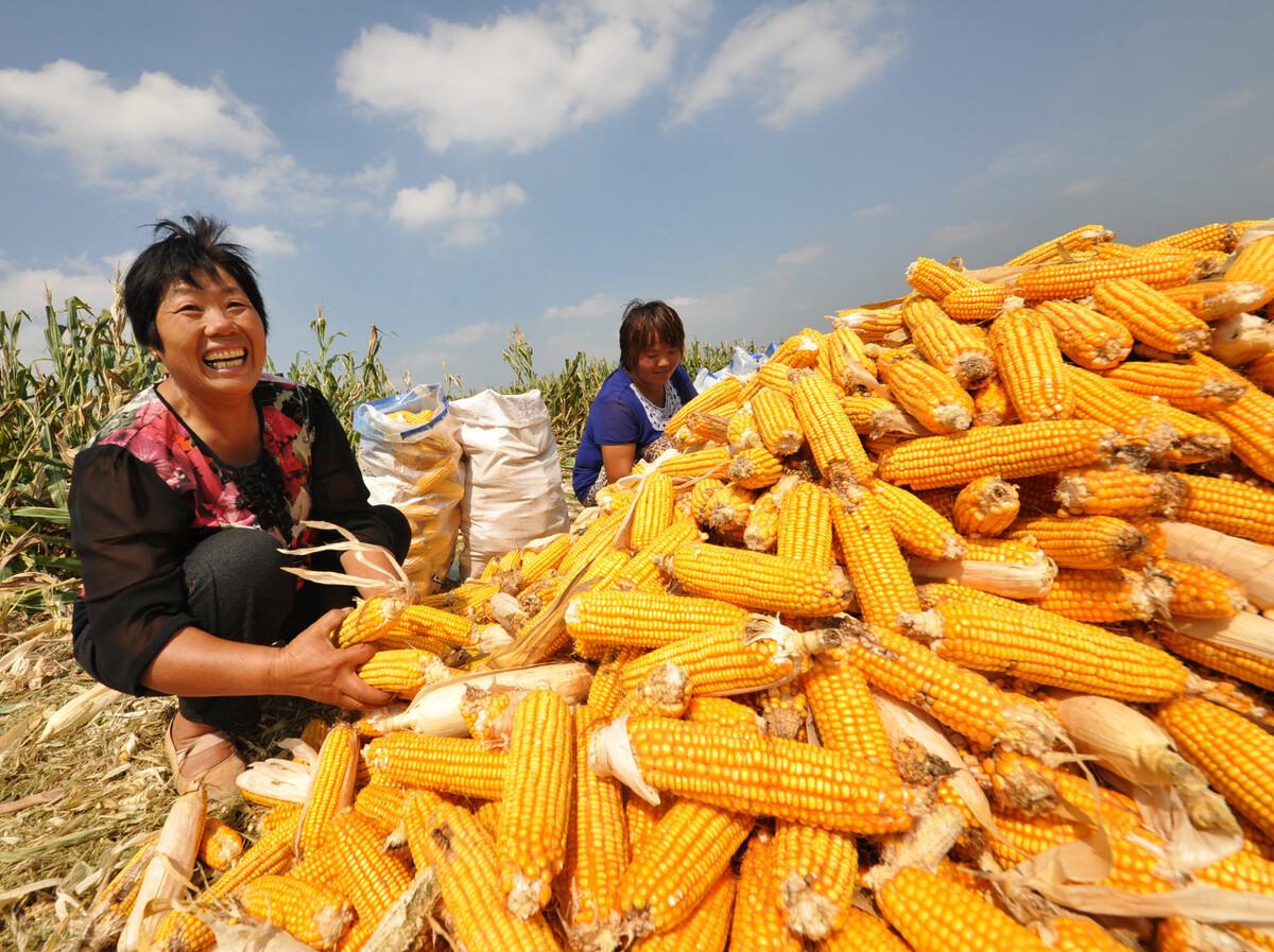 支持價(jià)格的詳細(xì)步驟指南與解析