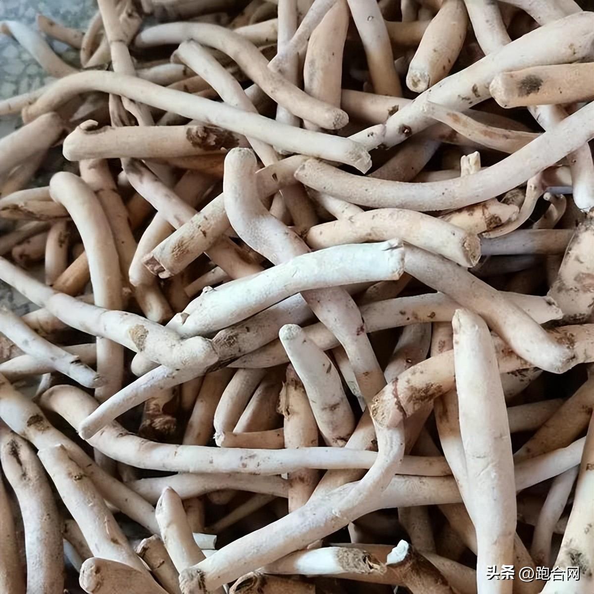 毫州藥材最新價(jià)格表，學(xué)習(xí)變化，成就自信之源