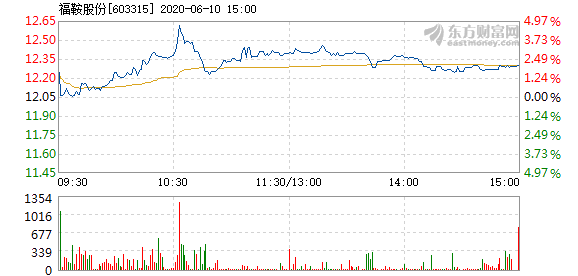 福鞍股票,福鞍股票——投資者的明智之選，開啟財富新篇章！