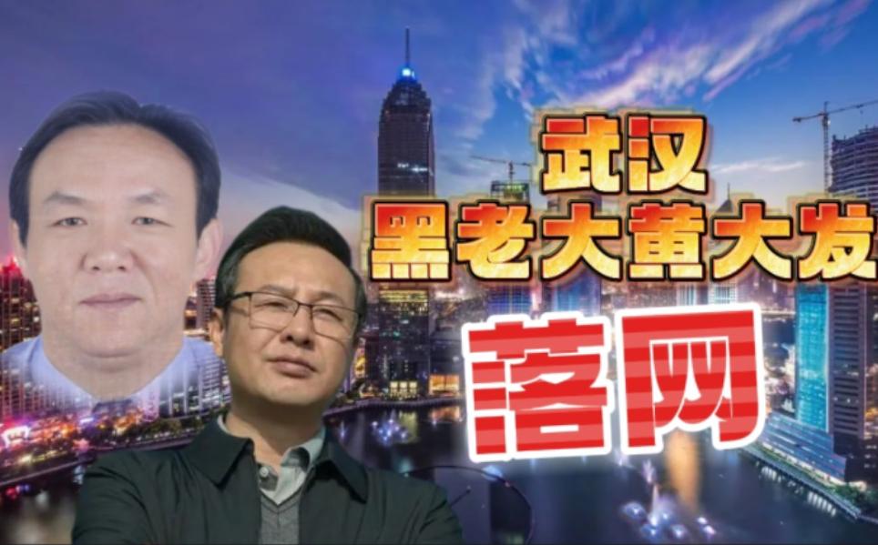 湖北涂勇最新動(dòng)態(tài)，擁抱自然，心靈寧?kù)o之旅探尋記