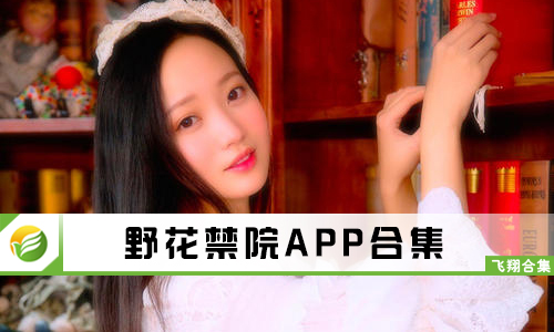 野花最新網(wǎng)址，網(wǎng)絡(luò)時(shí)代的獨(dú)特風(fēng)景探索