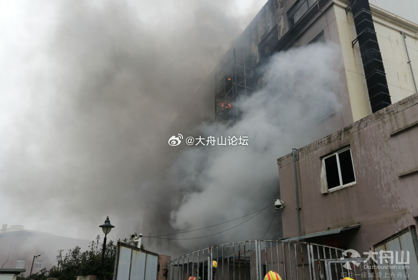 舟山火災(zāi)最新動態(tài)，小巷深處的獨特?zé)熁鹞C