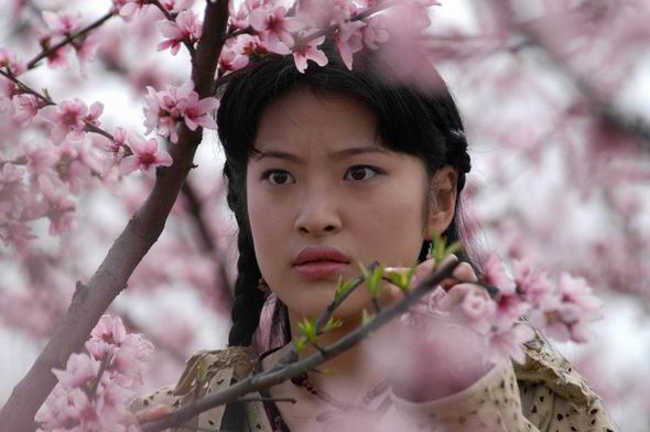 桃花源記電視劇觀看與理解指南，劇情解析與深度體驗步驟分享