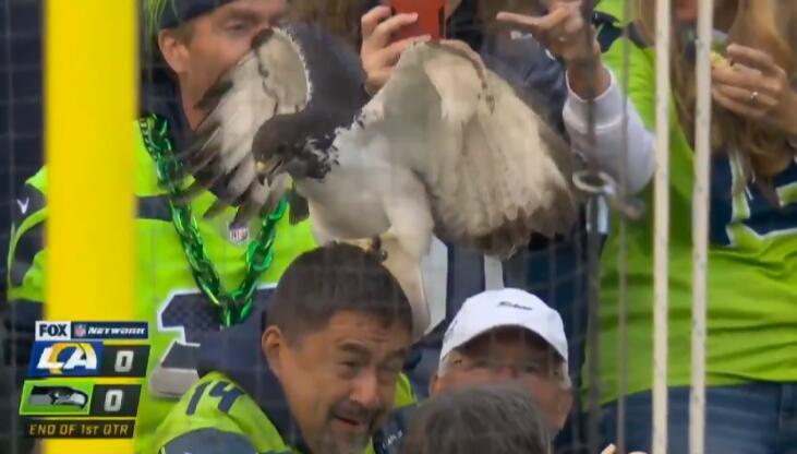 比賽吉祥物，自信與成就感的象征標志