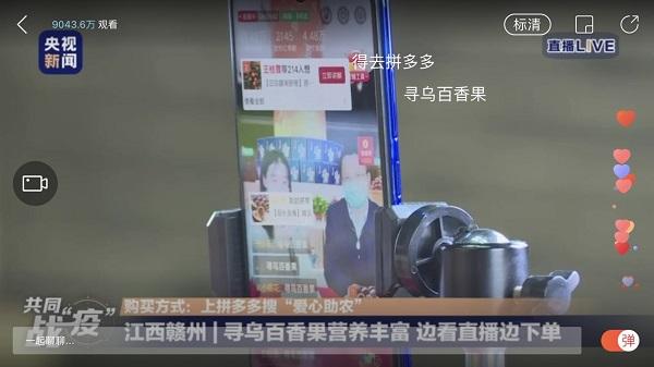 尋烏最新資訊深度解析，觀點(diǎn)闡述與最新動(dòng)態(tài)報(bào)告