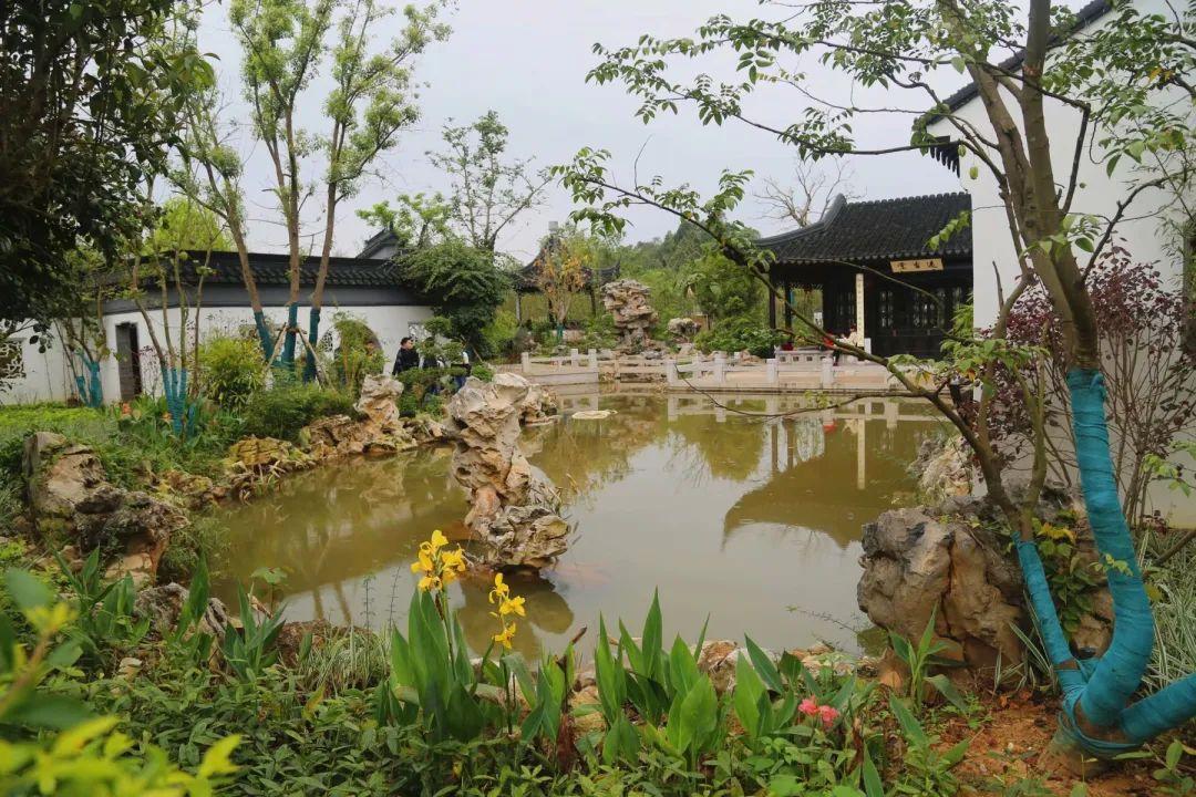 南寧園搏園最新動態(tài)揭秘，游園攻略與技能學(xué)習(xí)指南