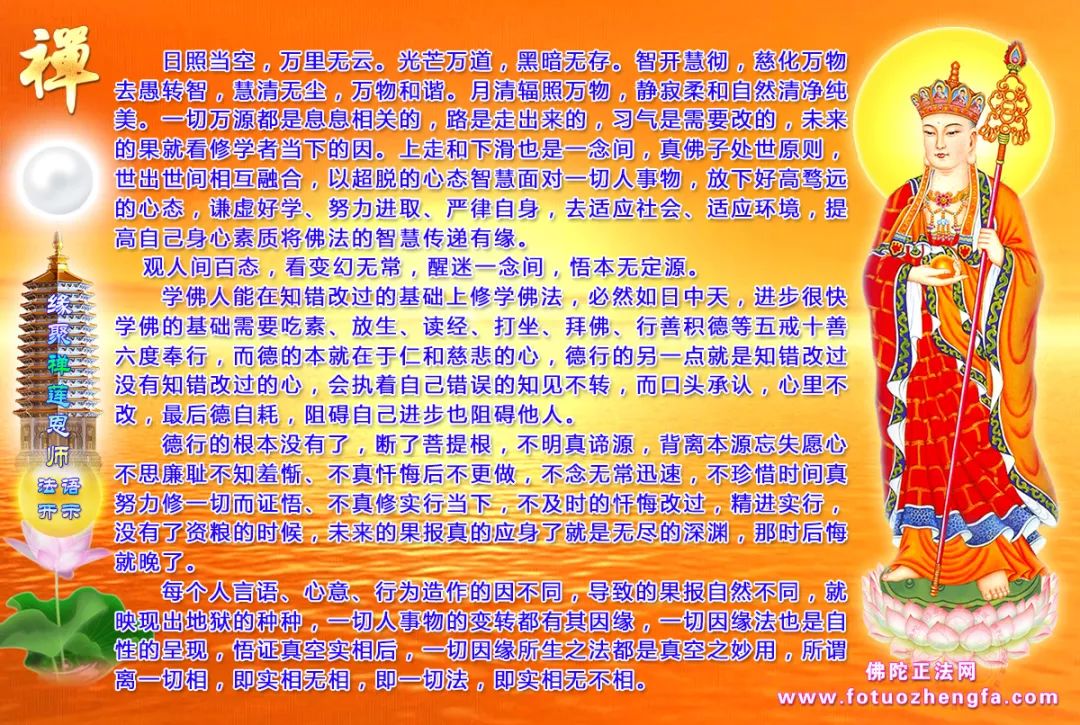 最新佛法開示揭秘，小巷深處的禪意寶藏探尋