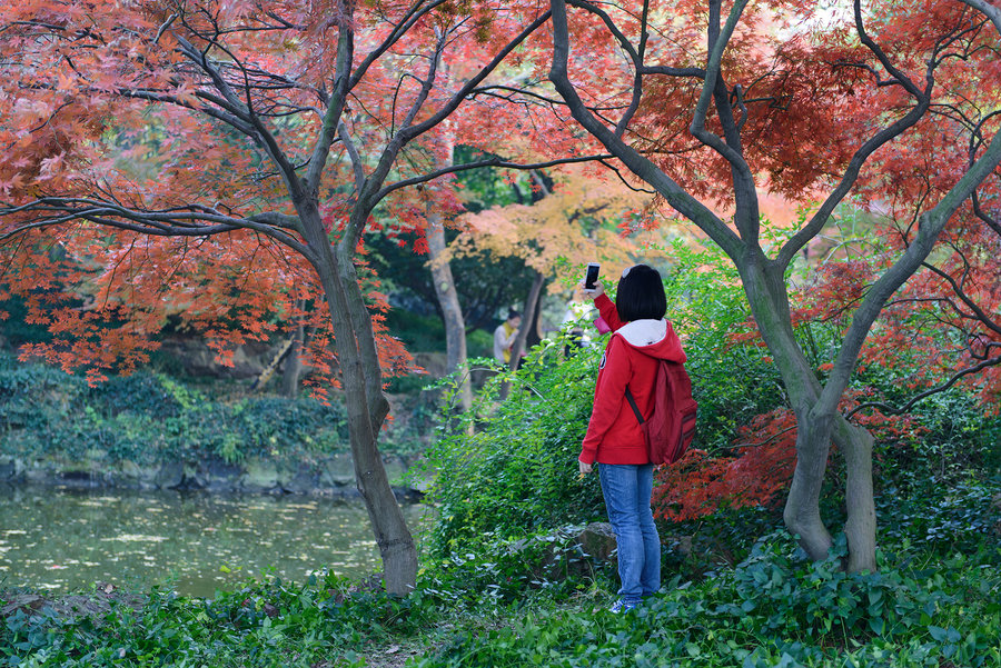秋霞精選，電影藝術的獨特魅力及其深遠影響