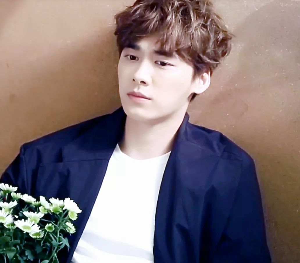 有耳鳴的明星,有耳鳴的明星，探索自然美景之旅，尋找內(nèi)心的寧?kù)o與平和