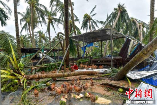 文昌臺風(fēng)最新消息,????文昌臺風(fēng)最新消息?????緊急通知！