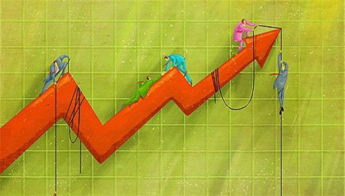 證金公司股票動(dòng)態(tài),證金公司股票動(dòng)態(tài)，一場(chǎng)自然美景的探索之旅