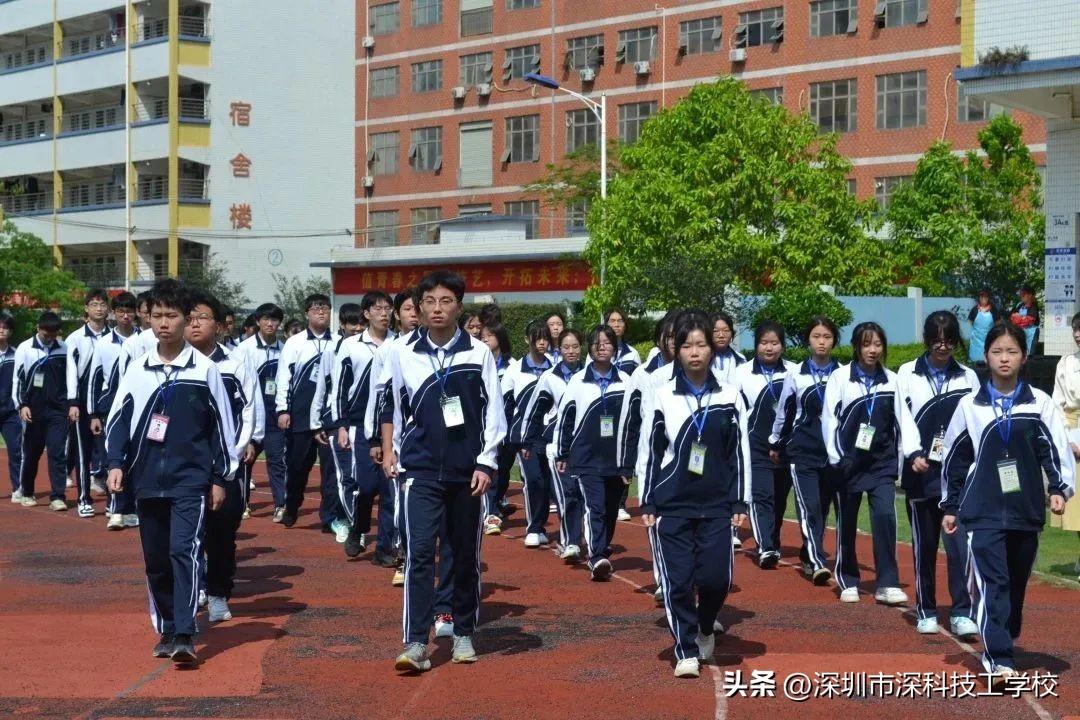 深寶安股票行情解析，前景分析與投資洞察