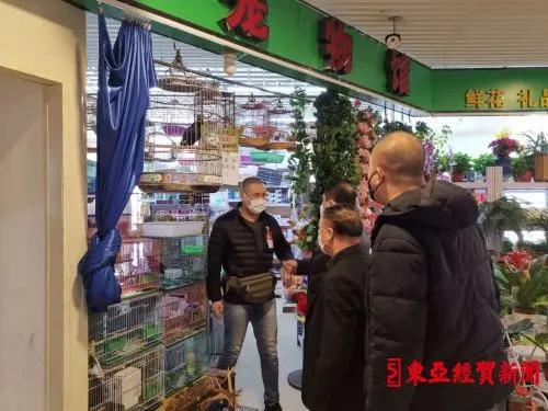 探索自然美景之旅，揭秘2017鷯哥銷售最新資訊，尋找內(nèi)心的平靜與喜悅