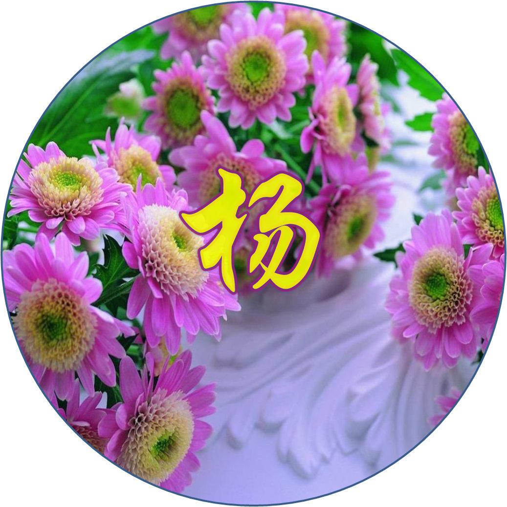 最新微信昵稱推薦大全