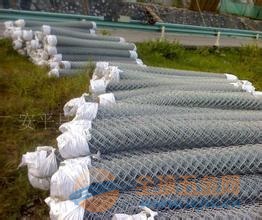 邊坡綠化網(wǎng)價格，時代變遷與行業(yè)進步的影響