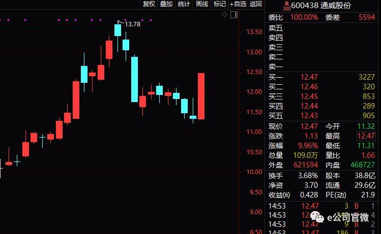 股票逆襲之路，開啟財富人生的新篇章從底部開始！