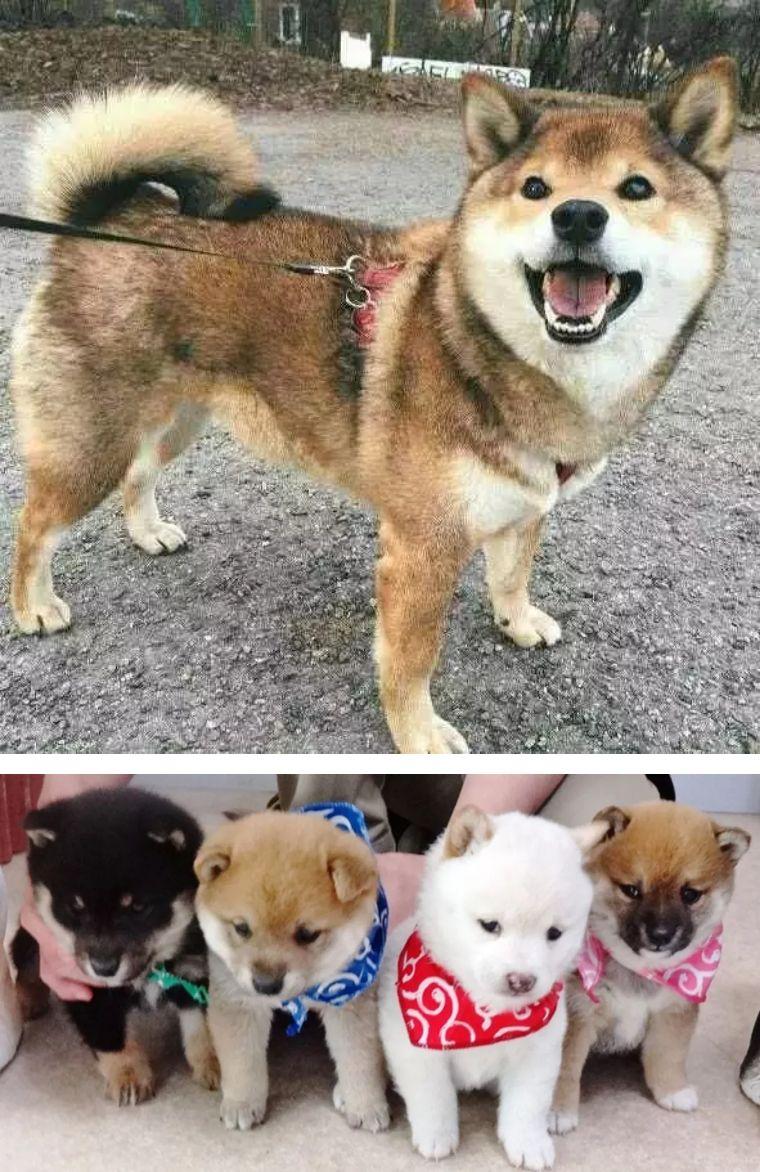 東京時(shí)尚風(fēng)向標(biāo)，探索日本最新潮流資訊