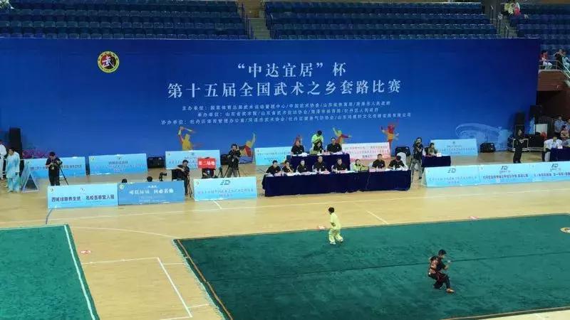 山東武術(shù)大賽，傳承與榮耀的盛宴，展現(xiàn)武術(shù)風(fēng)采的盛事！